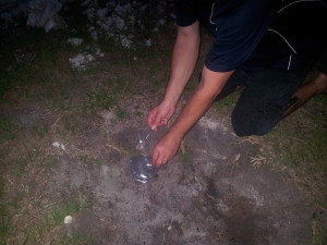 Piece of Florida Sample